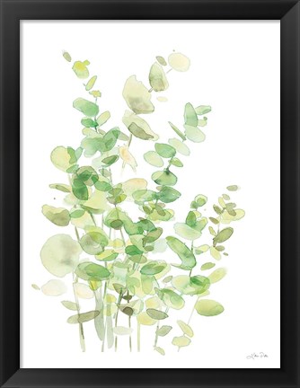 Framed Eucalyptus III Print