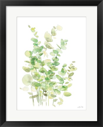 Framed Eucalyptus III Print