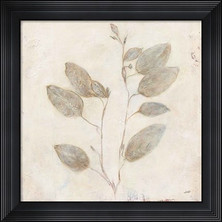 Framed Plantlife II Print