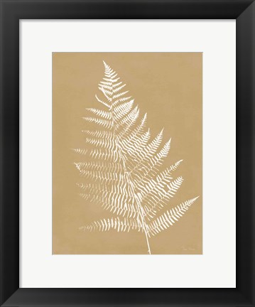 Framed Nature by the Lake Ferns VI Brown Print