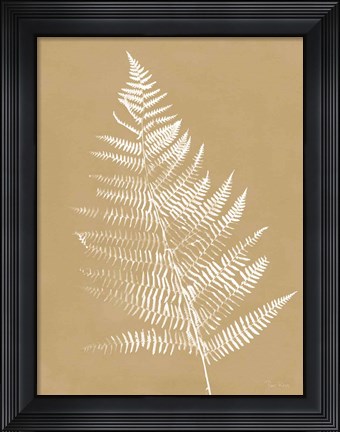 Framed Nature by the Lake Ferns VI Brown Print