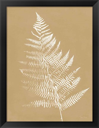 Framed Nature by the Lake Ferns VI Brown Print