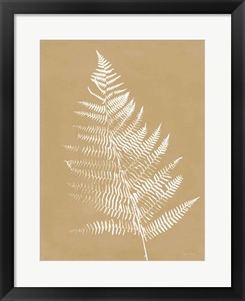 Framed Nature by the Lake Ferns VI Brown Print