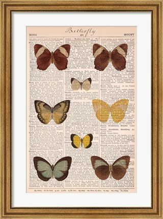 Framed American Butterflies II Print