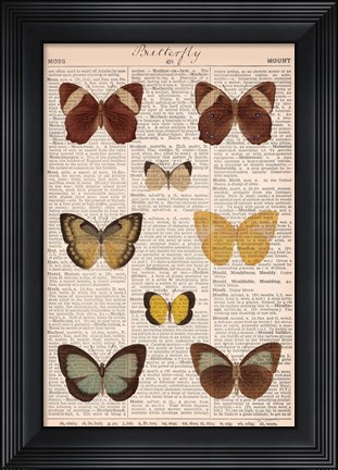 Framed American Butterflies II Print