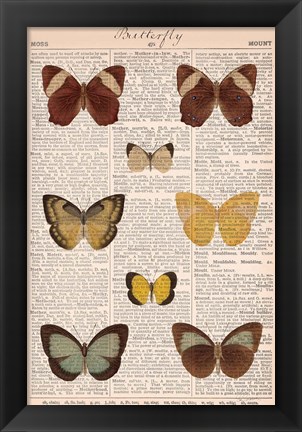 Framed American Butterflies II Print