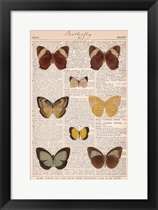 Framed American Butterflies II Print