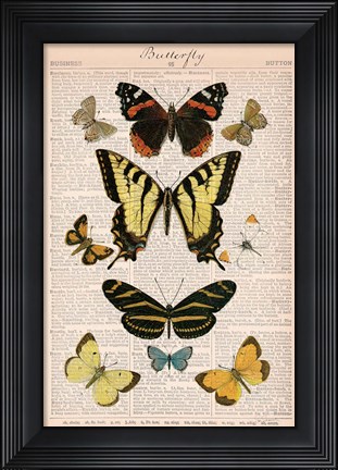 Framed American Butterflies I Print