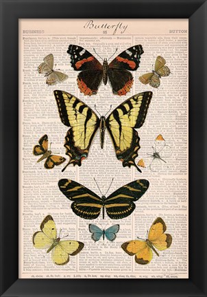 Framed American Butterflies I Print