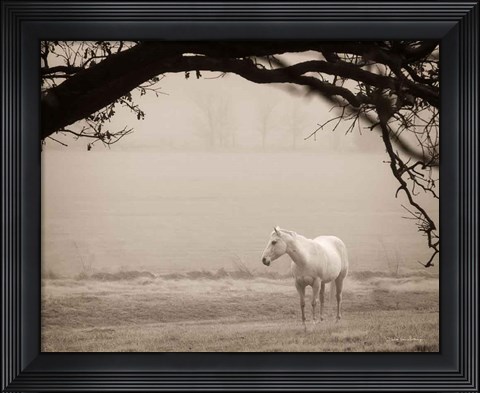 Framed Hazy Horse II Print