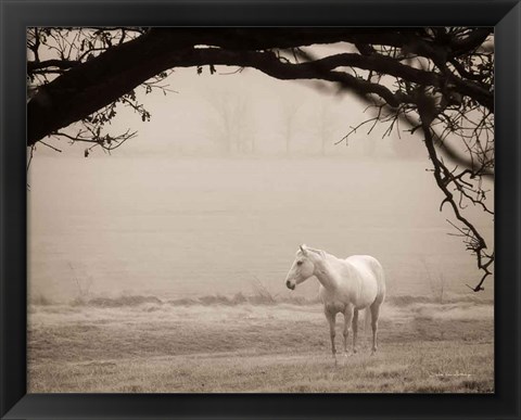 Framed Hazy Horse II Print