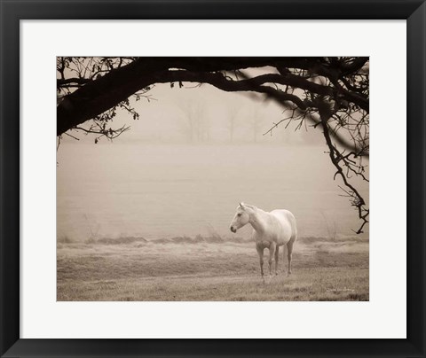 Framed Hazy Horse II Print