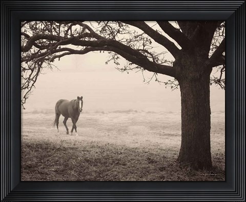 Framed Hazy Horse I Print