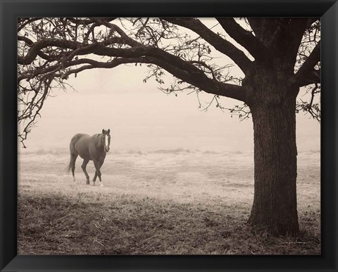 Framed Hazy Horse I Print