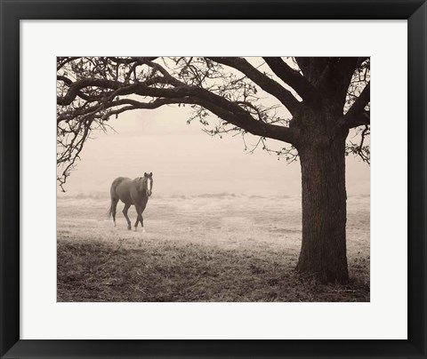 Framed Hazy Horse I Print