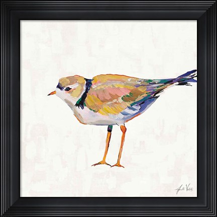 Framed Coastal Plover IV Linen Print