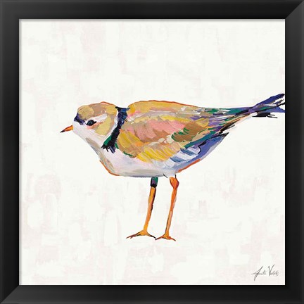 Framed Coastal Plover IV Linen Print