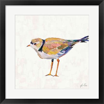 Framed Coastal Plover IV Linen Print