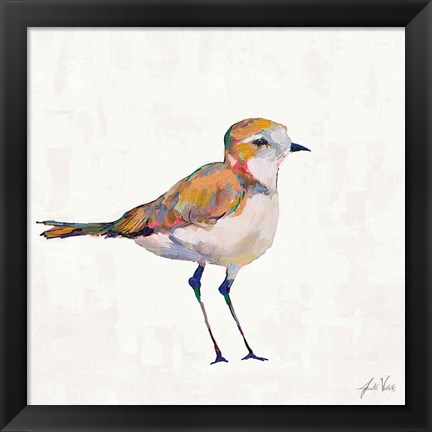 Framed Coastal Plover III Linen Print