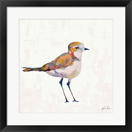 Framed Coastal Plover III Linen Print