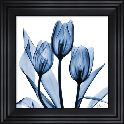 Framed Indigo Tulips Print