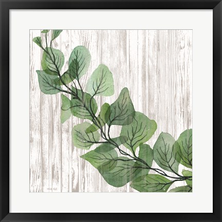 Framed Eucalyptus on White Print