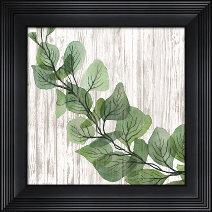 Framed Eucalyptus on White Print