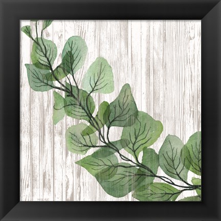 Framed Eucalyptus on White Print