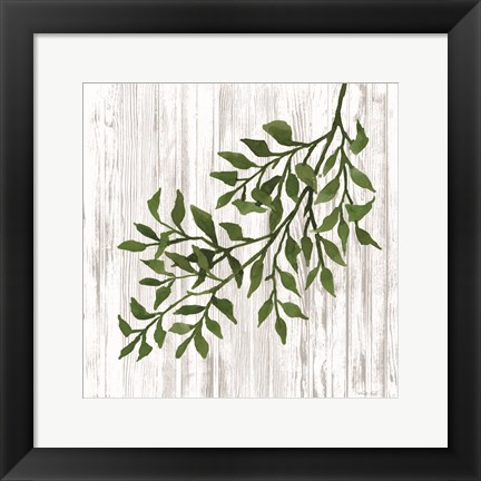 Framed Leaves on White Print