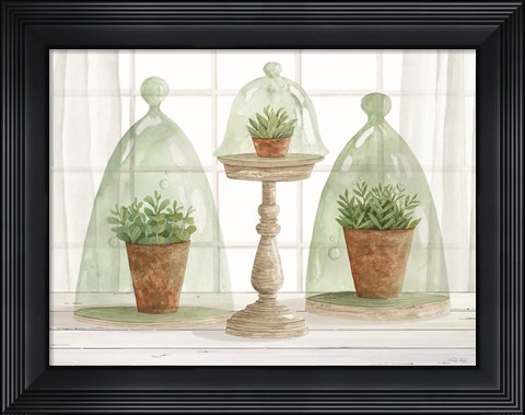 Framed Garden Cloche Trio I Print