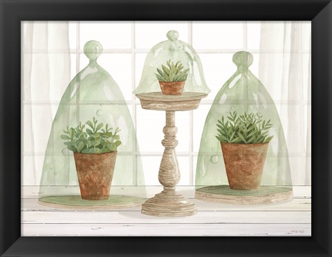 Framed Garden Cloche Trio I Print