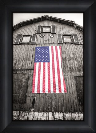 Framed Red, White &amp; Blue Print