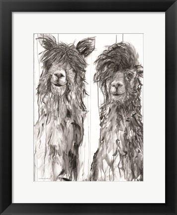 Framed Alpaca a Comb Print