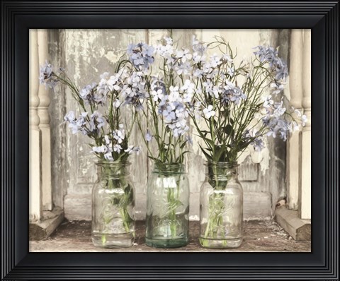 Framed Blue Roadside Beauties Print