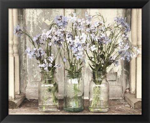 Framed Blue Roadside Beauties Print