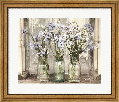 Framed Blue Roadside Beauties Print