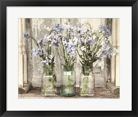 Framed Blue Roadside Beauties Print