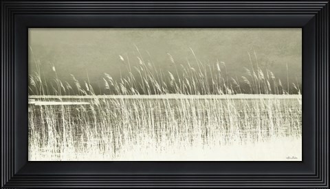 Framed Beach Grass Print