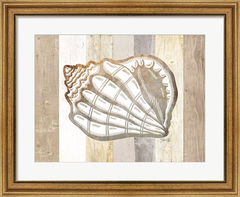 Framed Coastal Shell I Print