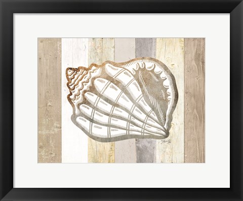 Framed Coastal Shell I Print