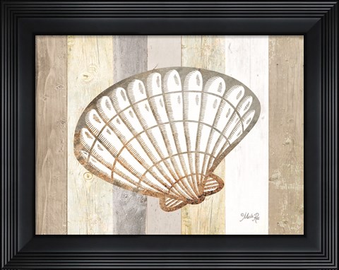 Framed Coastal Shell II Print