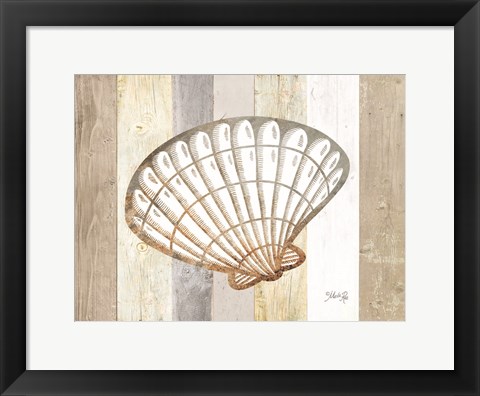 Framed Coastal Shell II Print