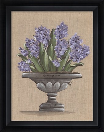 Framed Hyacinth Urn Print