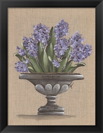 Framed Hyacinth Urn Print