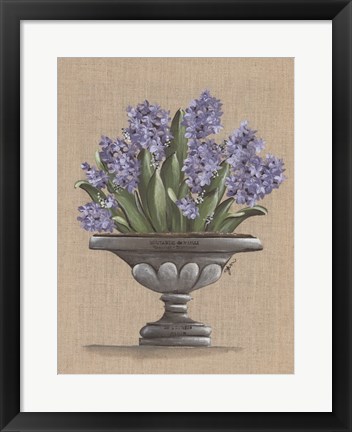 Framed Hyacinth Urn Print