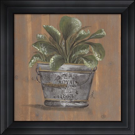 Framed Pretty Plant in Pail Print