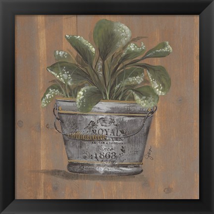 Framed Pretty Plant in Pail Print