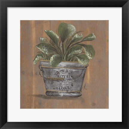 Framed Pretty Plant in Pail Print