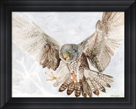 Framed Falcon Print