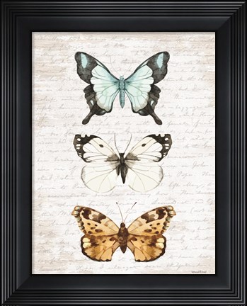 Framed Butterfly Trio Print